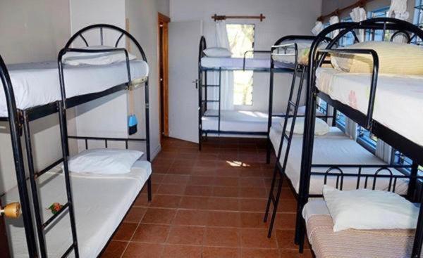 Lodge Gold Coast (adults Only) *